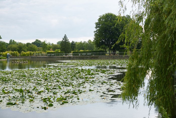 Teich im Vierjahreszeiten-Park Oelde